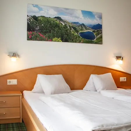 Aparthotel Holzmannhof Flachau